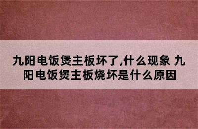 九阳电饭煲主板坏了,什么现象 九阳电饭煲主板烧坏是什么原因